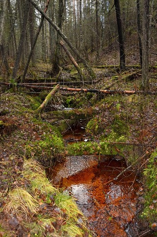 р.Бурчага (Денис Логиновский (denlog))
