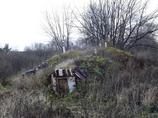 Погребок (Дмитрий Зонов)