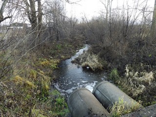 Речка Чернавка (Дмитрий Зонов)
