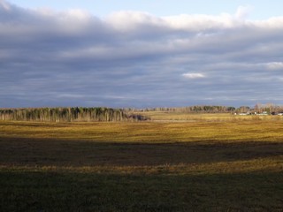 Ноябрьский пейзаж (Дмитрий Зонов)