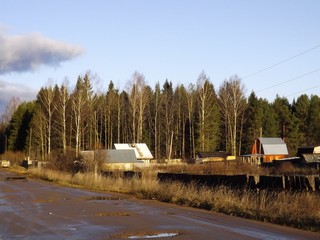 Дачи у Захарищевых, ноябрь (Дмитрий Зонов)