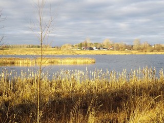 Пруд на р.Берёзовке (Дмитрий Зонов)