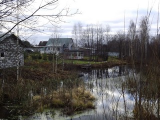 Пруд в Ямново (Дмитрий Зонов)