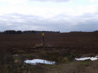 Газовое поле (Дмитрий Зонов)