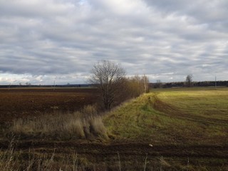 Межа (Дмитрий Зонов)