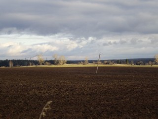 Быково (Дмитрий Зонов)