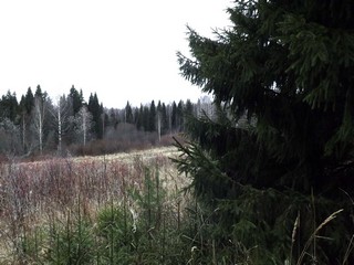 У склона (Дмитрий Зонов)