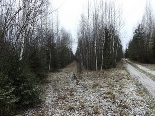 Две дороги (Дмитрий Зонов)