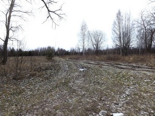 У б/д Ременщина (Дмитрий Зонов)