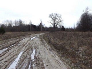 Дорога Грядовица - Ременщина (Дмитрий Зонов)