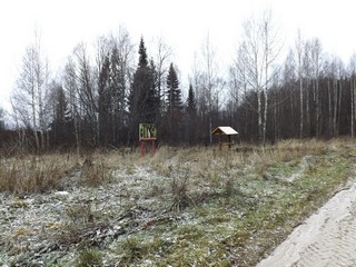 Придорожная беседка (Дмитрий Зонов)