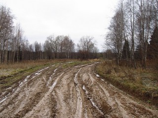 Ременщина (Дмитрий Зонов)