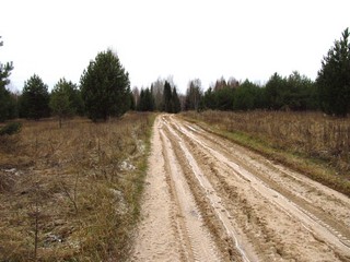 Дорога к Грядовице (Дмитрий Зонов)