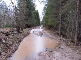 Ноябрьская дорога (Дмитрий Зонов)