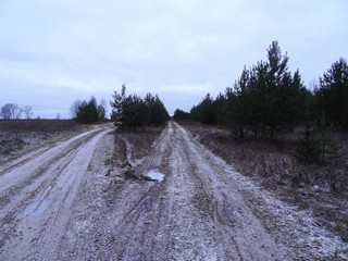 Проспект в д. Бол. Зоновы (bokax)