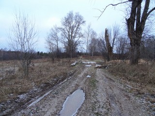 Дорога на д. Ременщина (bokax)