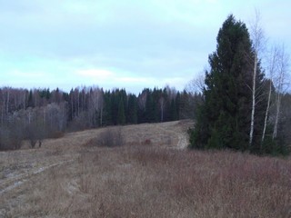 Юрьянские увалы (bokax)