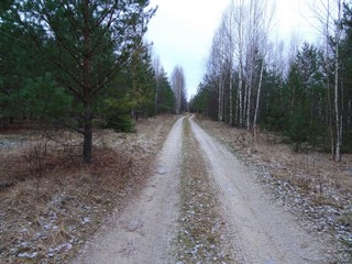 Дорога - мечта велосипедиста (bokax)