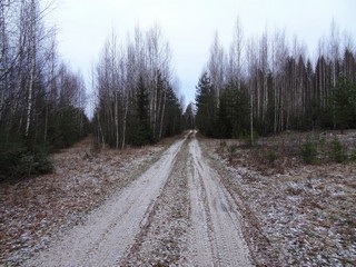 Дорога к д. Ременьщина (bokax)