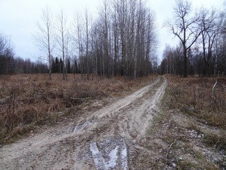 Вторая дорога к д. Медяны (bokax)