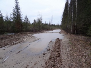 Застывшая распутица (bokax)