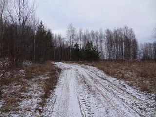 Дорога около д. Хохряковщина (bokax)