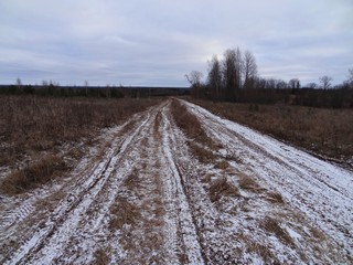 Около д. Хохряковщина (bokax)