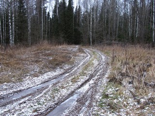 Дорога Маракулевщина-Горохово (Дмитрий Зонов)