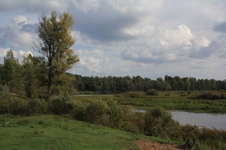 Река Вятка (Al Losk)