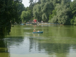 Без названия (vladimir-volovikovsky)