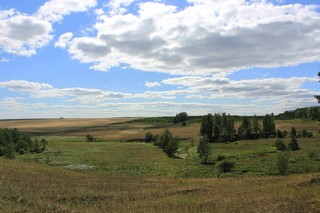 Поля и леса возле Масканура (natalia.pereskokova)