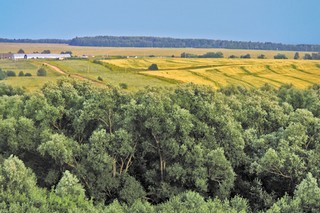 видна д.Михайловка из д. Виннита (Илья Чирков)