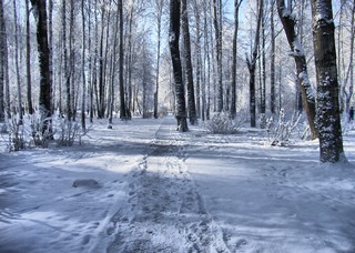 Зима 2009 (f054b)