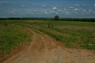 проселочная дорога/вид на север (Mikhail Buldakov)
