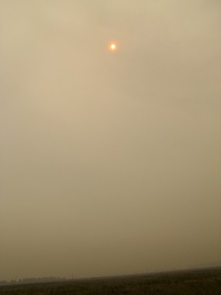 Красное солнце лесных пожаров.2010г\\\\\\Red sun of the wildfires (WERMUT)