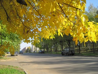 Улица Калинина (Наталья Касимова)