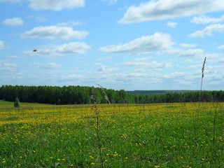 панорама д Бабайловцы (Александр Ложкин)