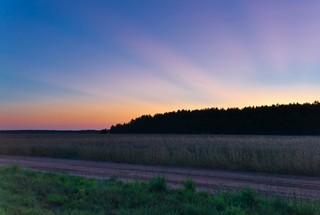 Закат по дороге на Вяз (Andreev Kostyan)