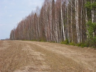 Поля и перелески вблизи Святицы (Serg Nikiforov)