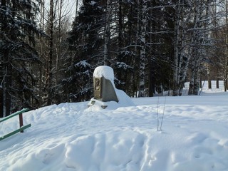 Памятник лесоводам области (Дмитрий Зонов)