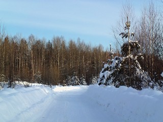 Дорога Кильмезь-Анкушино (Дмитрий Зонов)