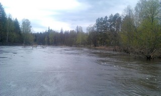 river small Kokshaga (flood) (Alexander Kapustin)