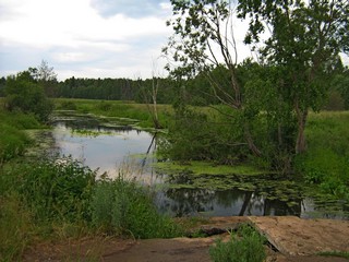 Чкарино, р.Шуля, запруда. (gogabig)