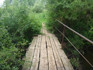 Мост через речку (jamsonus)
