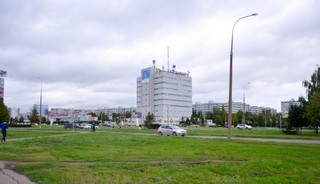  Таттелеком (Inga C.)