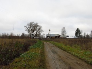 Деревня Лифановы (Дмитрий Зонов)
