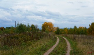 осень в лесу (gtn_58)
