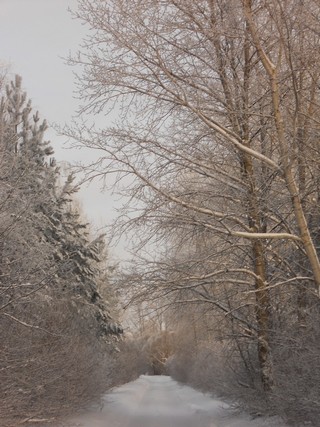 Зимняя дорога (Andrey Ivashchenko)