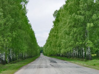 Дорога в Грахово (Nadezhda Shklyaeva)