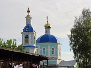Купола Успенской церкви (Дмитрий Зонов)